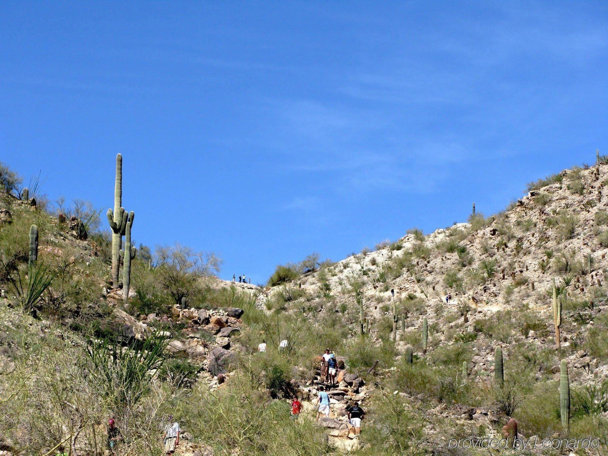 Hampton Inn Phoenix - Biltmore Luaran gambar